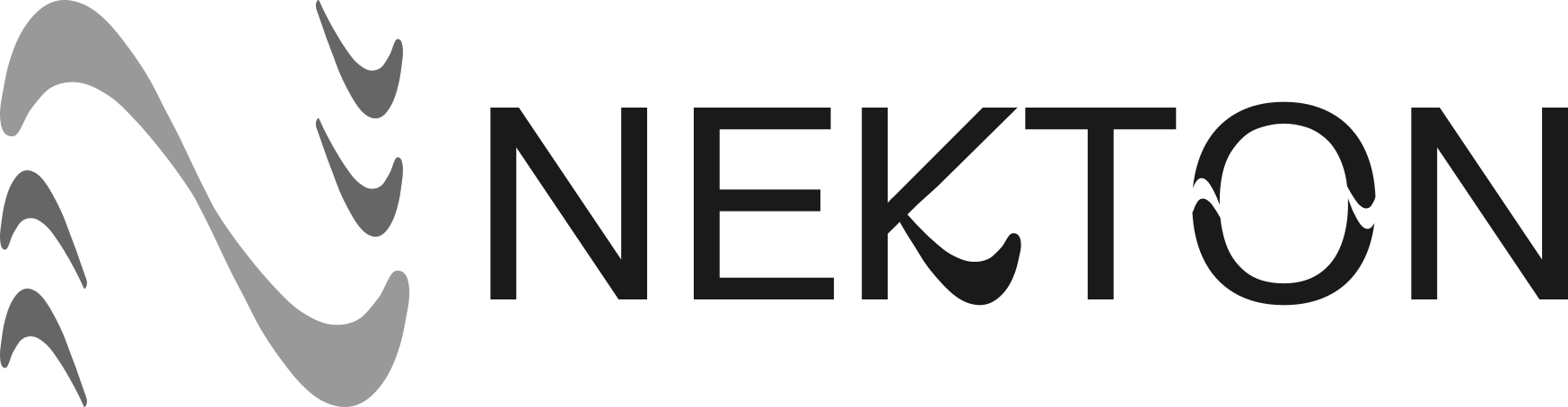 Nekton Engineering Consultancy